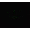 Halloween Bat Scrunchie - Glow in the Dark