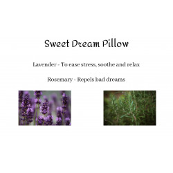 Sweet Dream Pillow - Blue Paw