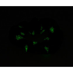 Glow in the Dark Navy Coral Scrunchie