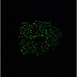Navy Bioluminescence Glow in the Dark Mini Scrunchie