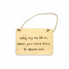 Rectangular Plaque - "Why try to fit in..."