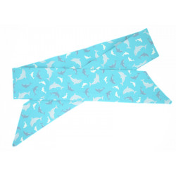 Teal Dolphin Glow in the...
