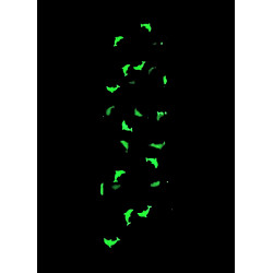 Teal Dolphin Glow in the Dark Self Tie Headband