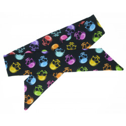 Rainbow Skulls Self Tie...