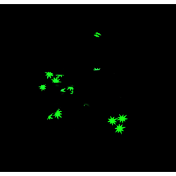 Glow in the Dark Halloween Purple Floral Cobwebs Scrunchie