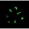 Glow in the Dark Halloween Witches Hats Mini Scrunchie