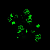 Glow in the Dark Grey Butterfly Hair Bows