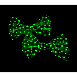 Glow in the Dark Mint Fairy Dust Hair Bows