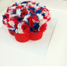 Red, Blue & White Flower Framed Picture
