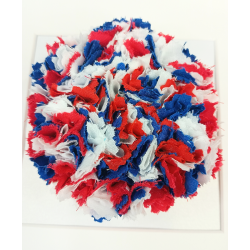 Red, Blue & White Flower Framed Picture