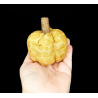 Mustard Yellow Scented Fabric Pumpkin