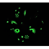 Glow in the Dark Pink Fireworks Scrunchie