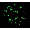 Glow in the Dark Blue Shooting Stars Scrunchie