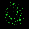 Glow in the Dark Red Star Scrunchie