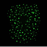 Glow in the Dark - Mint Fairy Dust Scrunchie