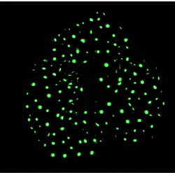 Glow in the Dark Pink Fairy Dust Scrunchie