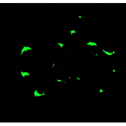 Glow in the Dark Blue Dolphin Scrunchie