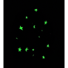 Glow in the Dark Orange Stars Halloween Mini Scrunchie