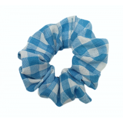 Light Blue Gingham Mini...