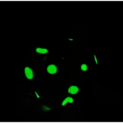 Glow in the Dark Cream Scented Fabric Pumpkin