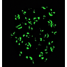 Glow in the Dark Pumpkin Halloween Mega Scrunchie