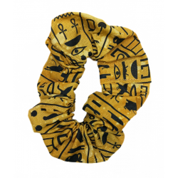 Egyptian Hieroglyphics...