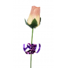Single Wooden Rose - White & Pink