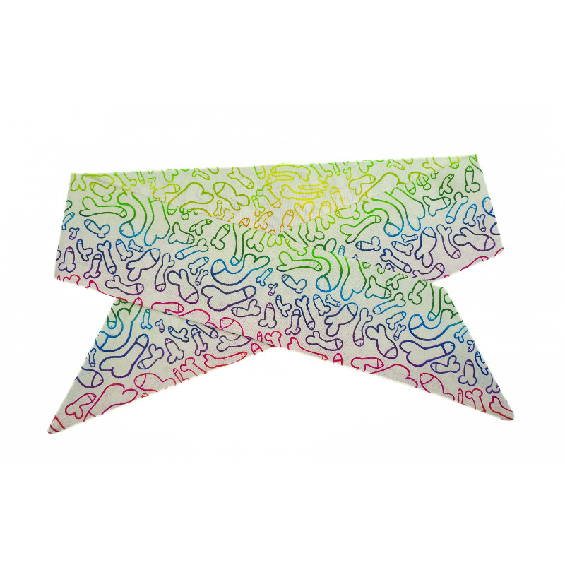 Rainbow Cockadoodle Self Tie Headband