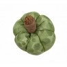 Sage Green Scented Fabric Pumpkin