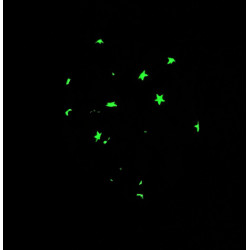 Glow in the Dark Orange Stars Mini Scrunchie