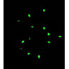Glow in the Dark Grey Cats Scrunchie