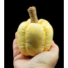 Lemon Yellow Scented Fabric Pumpkin